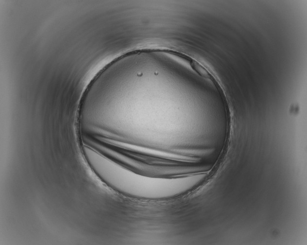 X0000111180901200907151321