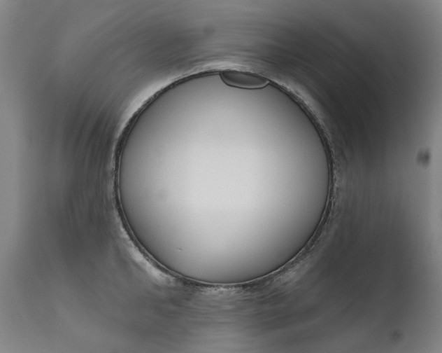 X0000111180902200907151321