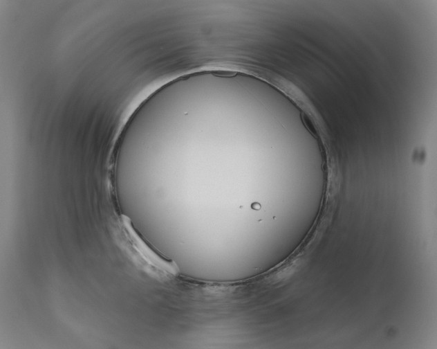 X0000111180908200907151321