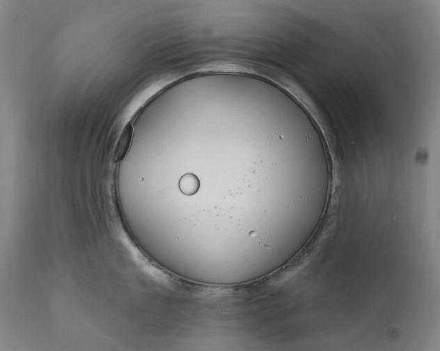 X0000111180909200907151321