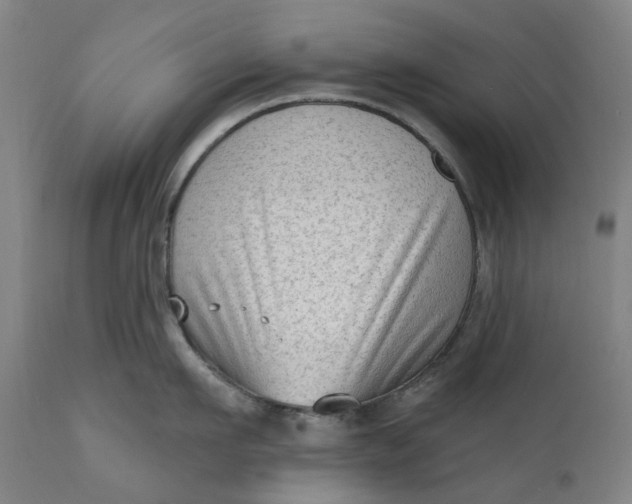 X0000111180911200907151321