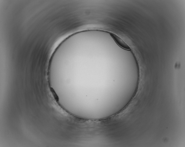 X0000111180912200907151321