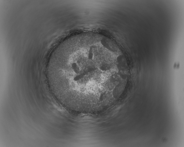 X0000111180913200907151320