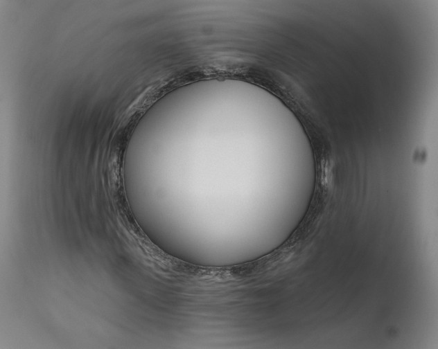 X0000111180915200907151320