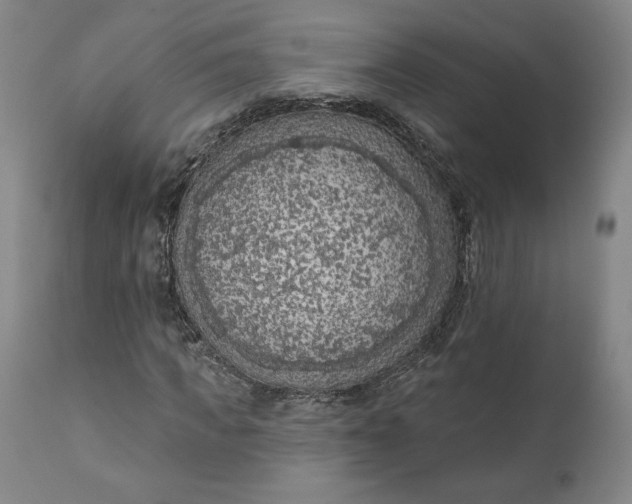 X0000111180917200907151320