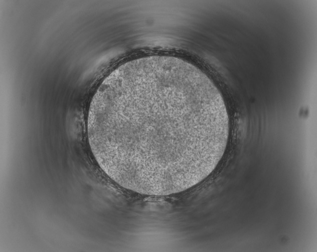 X0000111180918200907151320