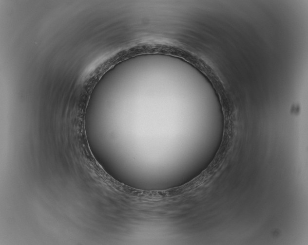 X0000111180919200907151320