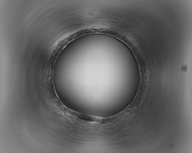 X0000111180920200907151320