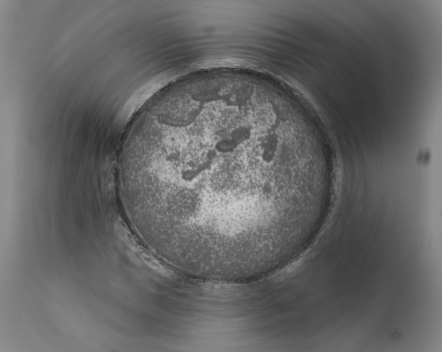 X0000111180921200907151320