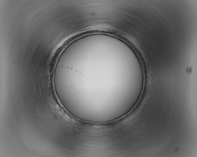 X0000111180923200907151320