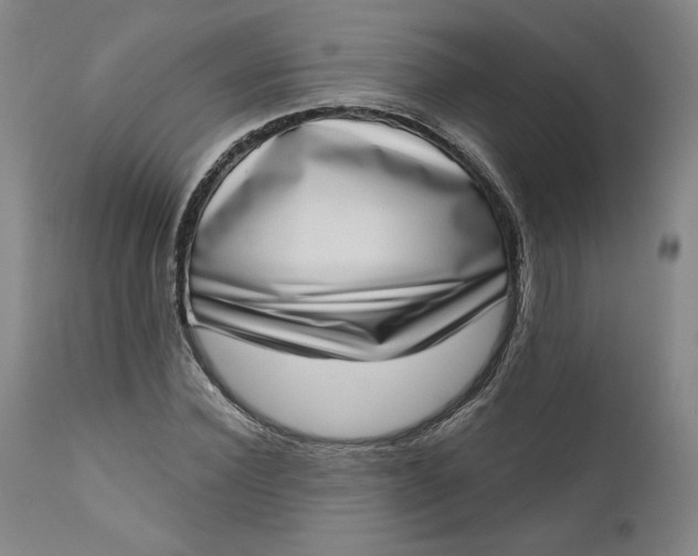 X0000111180924200907151320