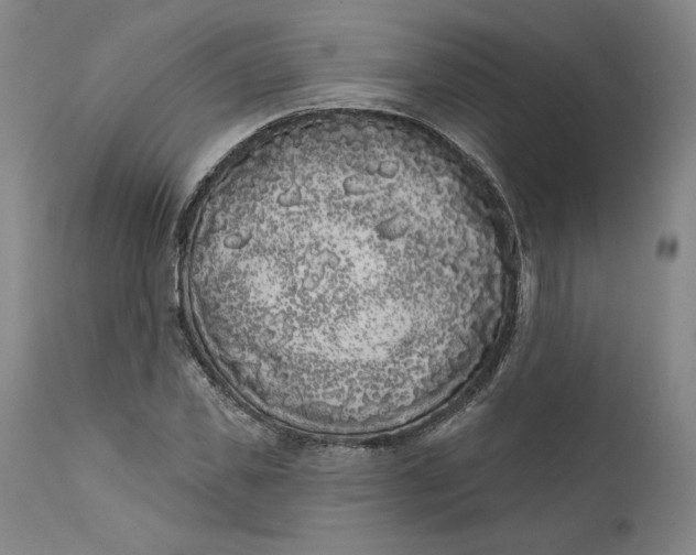 X0000111180925200907151320