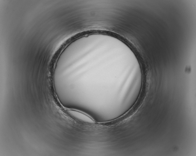 X0000111180926200907151320