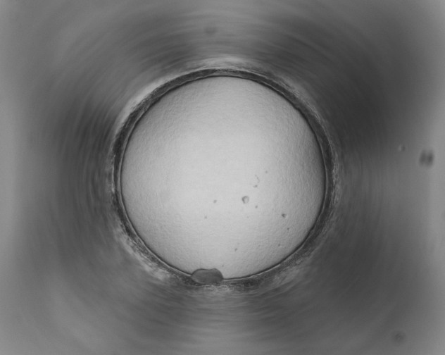 X0000111180931200907151320