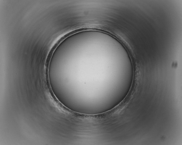 X0000111180932200907151320