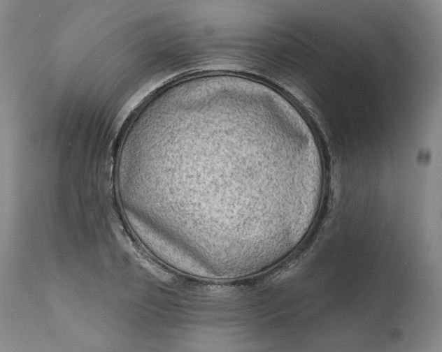 X0000111180933200907151320