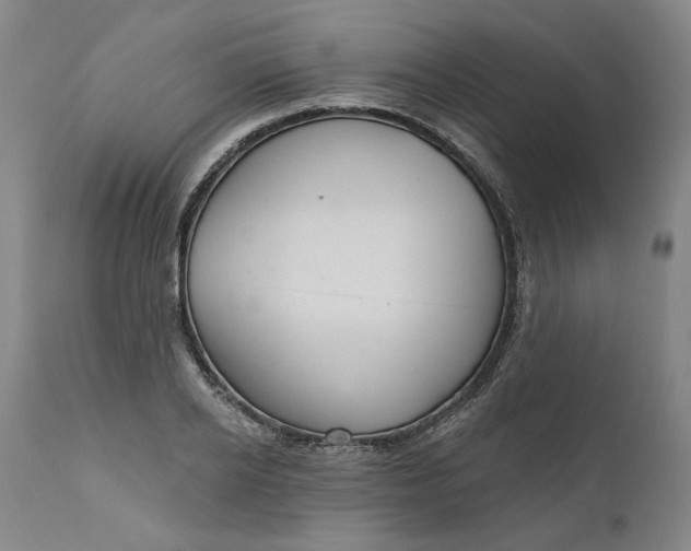 X0000111180934200907151320