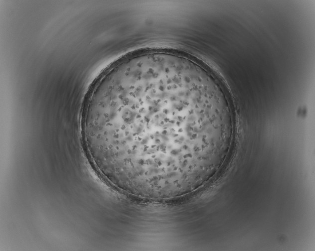 X0000111180935200907151320