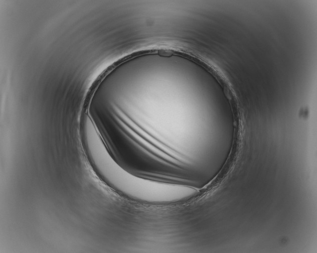 X0000111180936200907151320