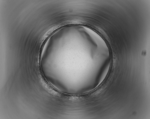 X0000111180938200907151321