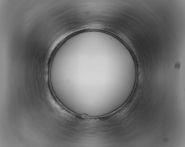 X0000111180939200907151321