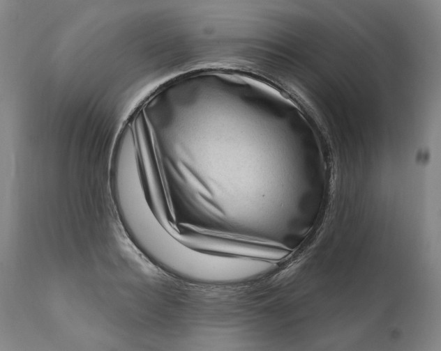 X0000111180940200907151321