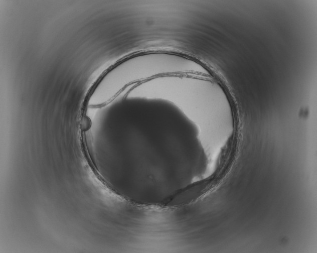 X0000111180941200907151321