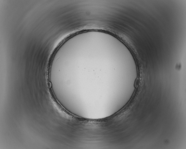 X0000111180942200907151321