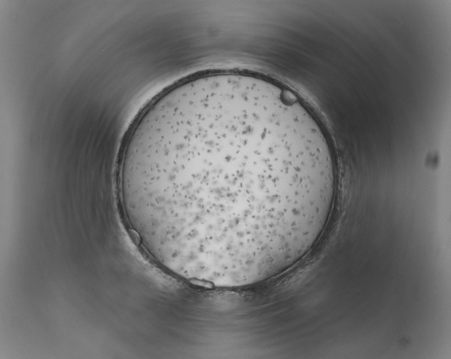 X0000111180943200907151321