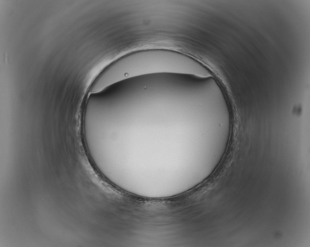 X0000111180944200907151321