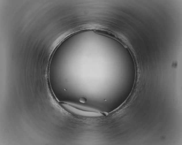 X0000111180946200907151321