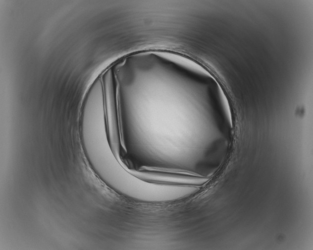 X0000111180948200907151321