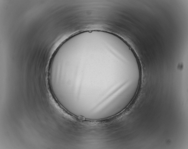 X0000111180949200907151321