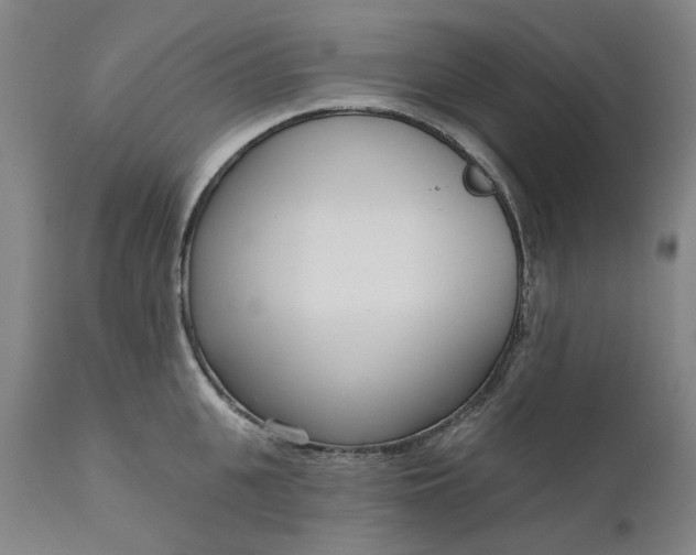 X0000111180951200907151321