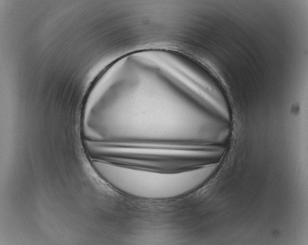 X0000111180952200907151321