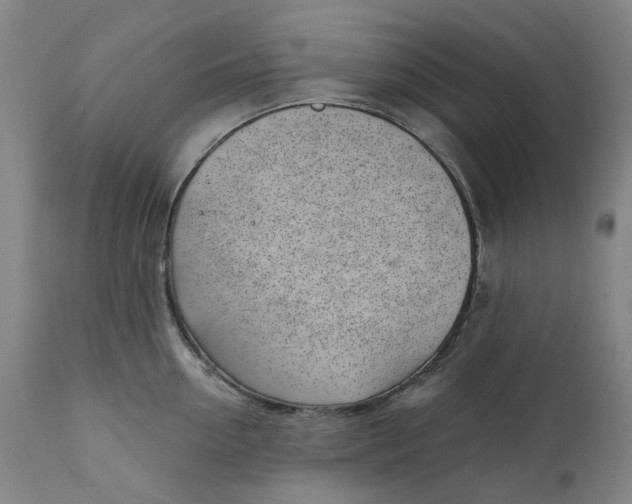 X0000111180954200907151321