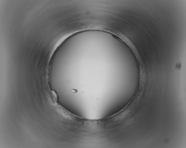 X0000111180956200907151321