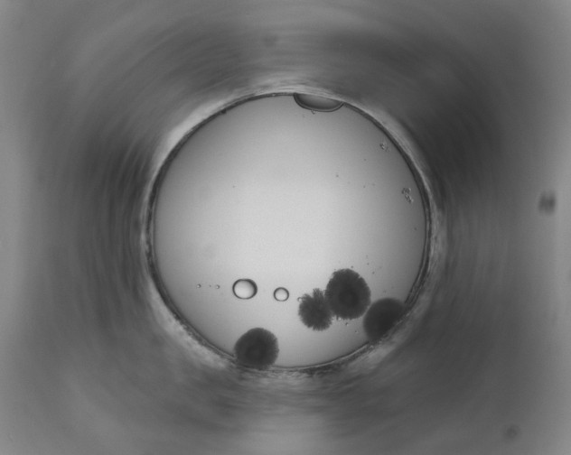 X0000111180957200907151321