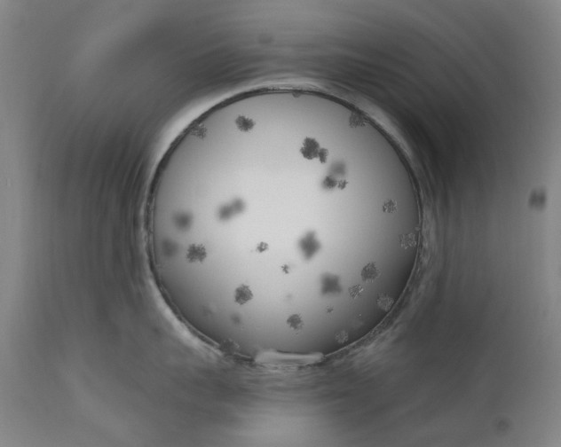 X0000111180959200907151321