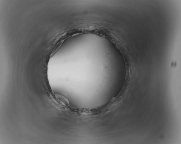 X0000111180961200907151320