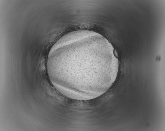 X0000111180962200907151320