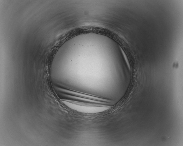 X0000111180965200907151320