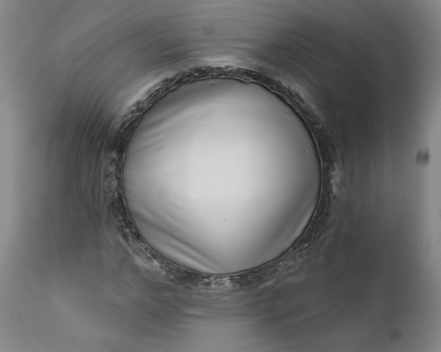 X0000111180968200907151320