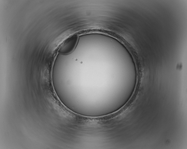 X0000111180969200907151320