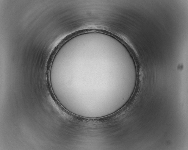 X0000111180972200907151320