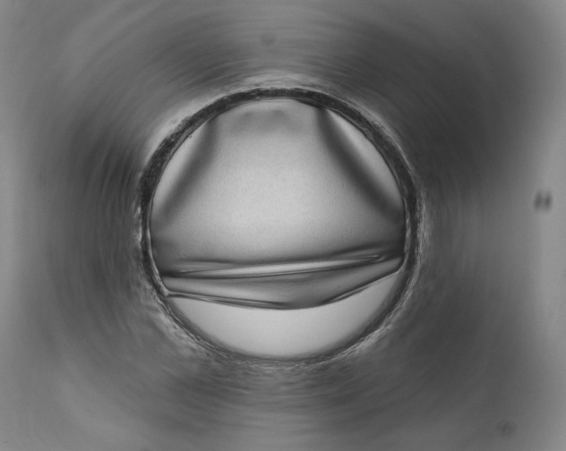 X0000111180973200907151320