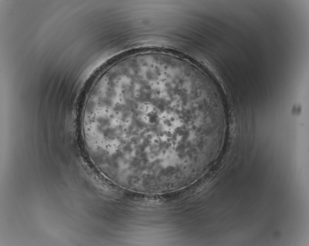 X0000111180975200907151320