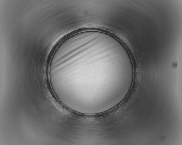 X0000111180976200907151320