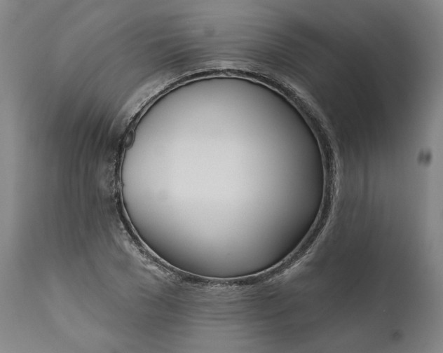 X0000111180977200907151320