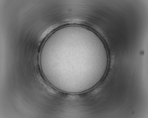 X0000111180978200907151320